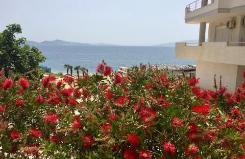 Kodrra Apartment | Royal Apartment Luxury Holiday for Queen and King