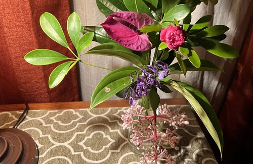 Hawi Bed & Breakfast | Royal Banyan Suite @ Vibrant Vegan Guesthouse/ Alcohol-free, smoke-free
