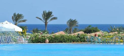 Marsa Alam Resort | Royal Brayka Beach Resort
