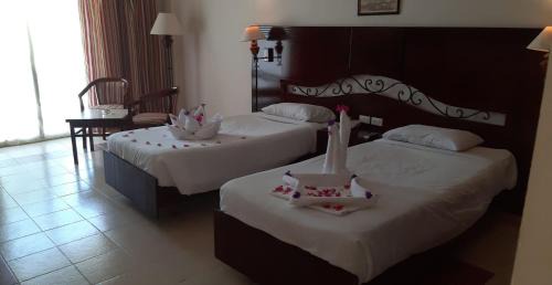 Marsa Alam Resort | Royal Brayka Beach Resort