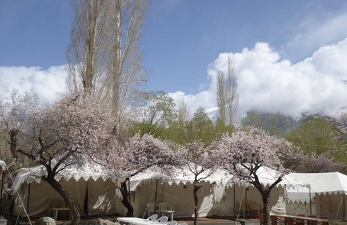 Hunder RV Rental | Royal Deluxe Camp