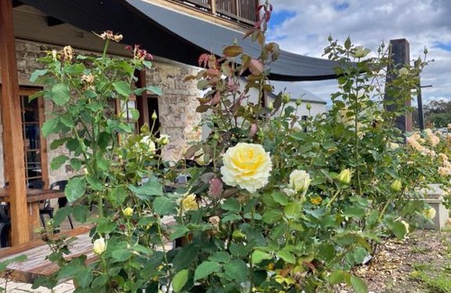 Capertee Hotel | Royal Hotel Capertee