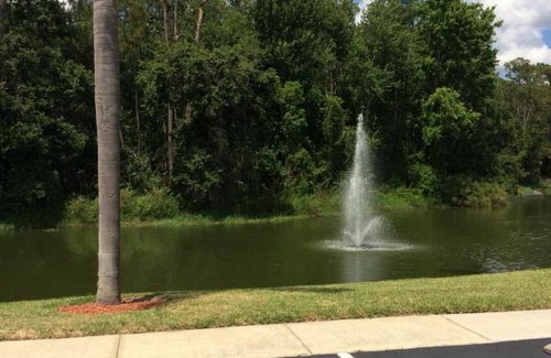 Royal Palm Bay Apartment | Royal Palm Bay