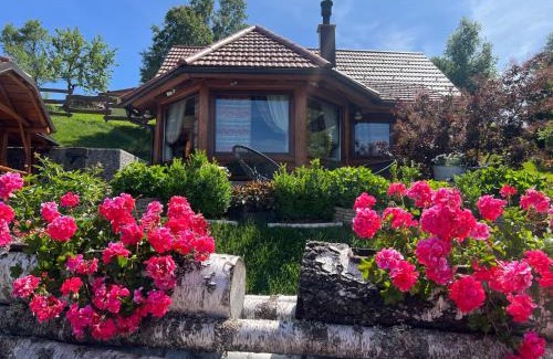 Kupjak Ski Chalet | Roza