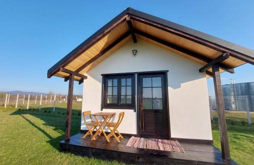 Rediu House | Roza Vânturilor
