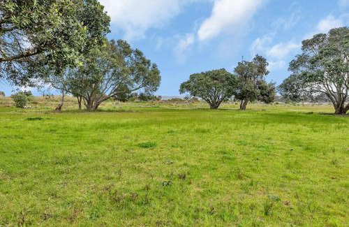 Ruakaka House | Ruakaka Coastal Reserve Retreat