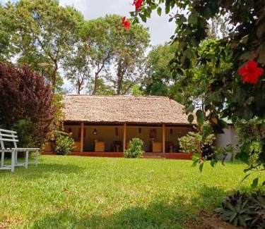 Moshi Cabin | Rudi House