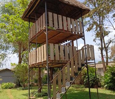 Moshi Cabin | Rudi House