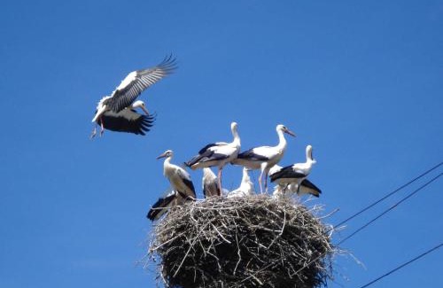 Samtens Apartment | Ruegen Fewo 37