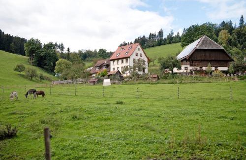 Kirchzarten Apartment | Ruhbauernhof