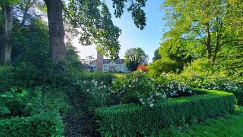 Lelkendorf Apartment | Ruhig & Idyllisch - Schloss Lelkendorf - Maisonette-Apartment Ulrichshusen mit Dachterrrasse, Mecklenburger Seenplatte mit Dachterrasse, Nähe Ostsee