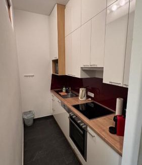 Gumpoldskirchen Apartment | Ruhiges Apartment mit guter Verkehrsanbindung