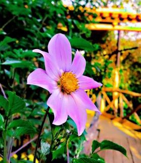 Ruhondo Hotel | Ruhondo Island Retreat