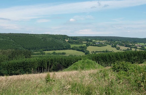 La Reid House | Ruim vakantiehuis in Theux met een zwembad