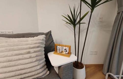 Xuhui Apartment | RuiXue