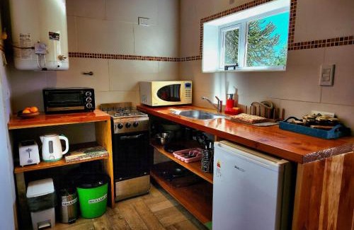 Moquehue Apartment | Ruka Moquehue