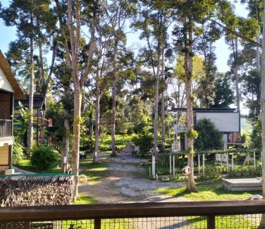 Kampung Kuala Kenas Hotel | RUMAH MD2 D'RUMAH BONDA RIVER VIEW Kuala Kangsar