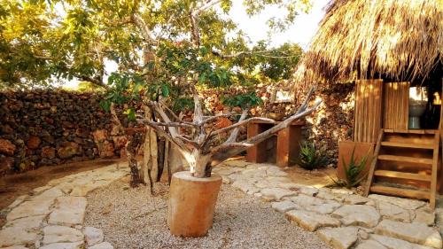 Rote Island Villa | Rumah Pampa at Pachamama