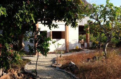 Rote Island Villa | Rumah Tinggi at Pachamama