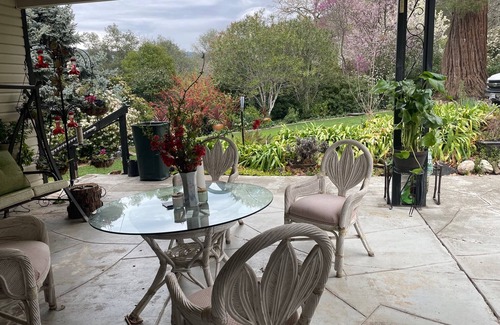 Nut Tree Apartment | Rural and tranquil