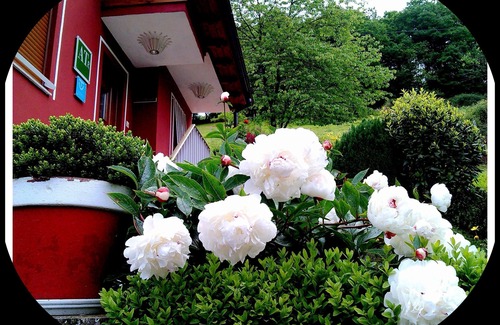 Villamayor Apartment | Rural, countryside, WIFI. For 2 persons. Asturias.