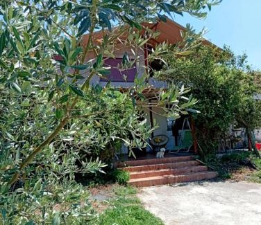 Pamvotida Apartment | Rural hοuse