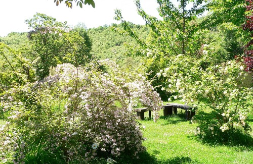 Avedillo de Sanabria Cottage | RURAL HOUSE 5 * THE SILK WORKSHOP