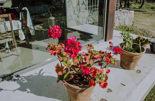 San Pedro Norte Cottage | Rural House, Full Nature, Horses.