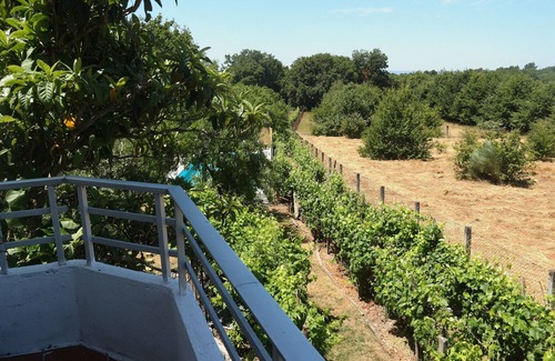 Loureiro House | Rural house with swimming pool and barbecue. Santiago's road. Near Ribeira Sacra
