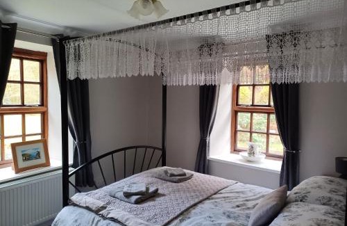 Cenarth Apartment | Rural retreat - Godremamog Mill