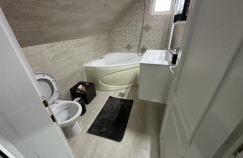 Frumoasa Apartment | RURAL STAY 39