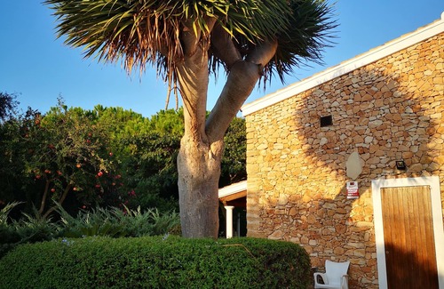 Sant Francesc Xavier House | Rustic villa with large infinity pool and lawn