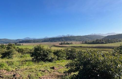 Knysna Ski Chalet | Rushmere Cottage