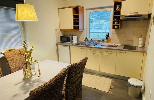 Podcetrtek Apartment | Rustic and Radiant Retreat Apartments with Terrace - Classic One Bedroom Apartment with Terrace