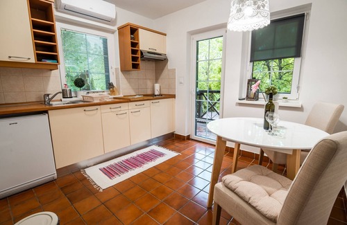 Podcetrtek Apartment | Rustic and Radiant Retreat Apartments with Terrace - Standard One Bedroom Apartment with Terrace