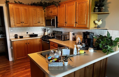 Dawsonville Apartment | Rustic Apartment with Seasonal Mountain Views