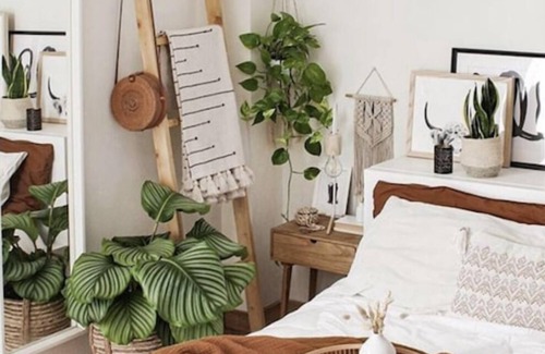 Surrey House | Rustic Aurora- Free Parking & Free WIFI(2 mins away from Downtown Surrey)