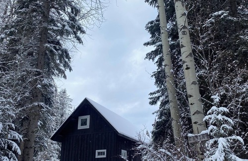 Golden Cabin | Rustic Beaverfoot Lodge Basic Cabin