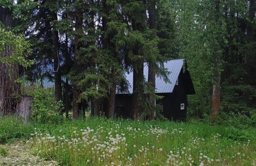 Golden Cabin | Rustic Beaverfoot Lodge Basic Cabin