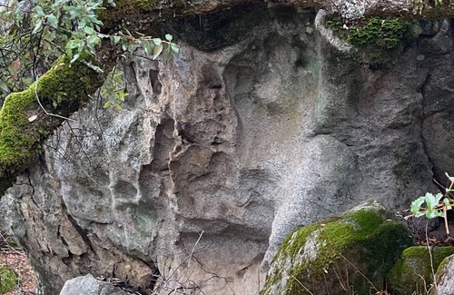 Placerville RV Rental | Rustic Bell Tent Glamping in Wine and Gold Country