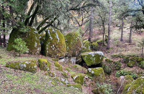 Placerville RV Rental | Rustic Bell Tent Glamping in Wine and Gold Country