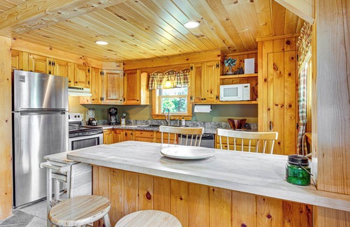 Walden Cabin | Rustic Cabin in West Danville w/Deck & Fire Pit!