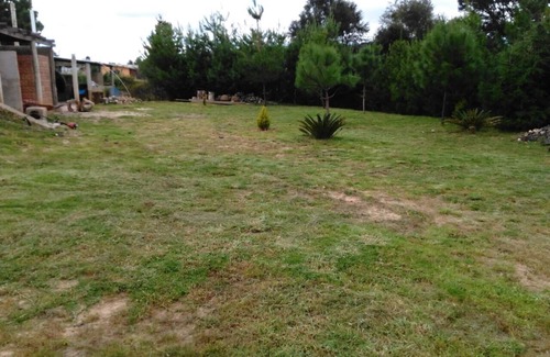 Chupicuaro Cabin | Rustic cabin Ucareo los Azufres