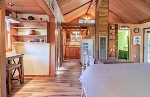 McKinleyville Apartment | Rustic cabin w/deck, BBQ - beneath a canopy of redwood trees
