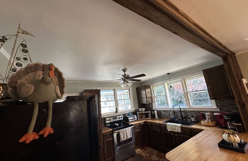 Columbia Cottage | Rustic Country Cottage Near Lake Murray -Just 1 hour from The Masters!