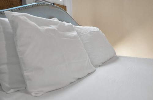 South 7th Ward Apartment | Rustic Creole Cottage Walk To French Quarter