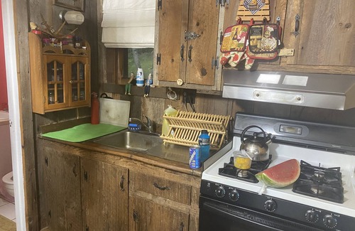 De Lancey Cottage | Rustic Family Cabin (PET FRIENDLY, WiFi, FULLY FUNCTIONAL HOME)