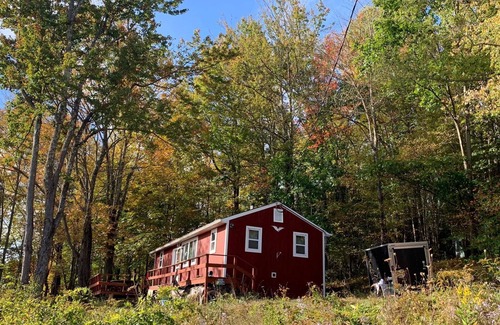 De Lancey Cottage | Rustic Family Cabin (PET FRIENDLY, WiFi, FULLY FUNCTIONAL HOME)
