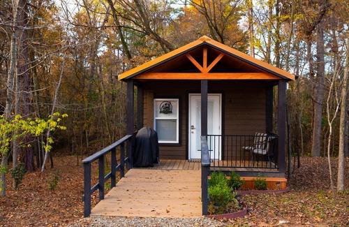 Mount Vernon Cabin | Rustic Fishing Retreat 1 Bed/1 ADA Bath