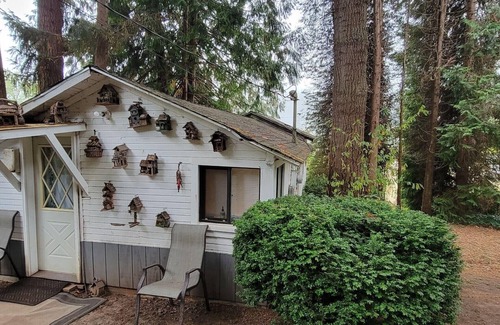 Clatskanie Cabin | Rustic forest cabin - perfect for solo travelers who cherish privacy and quiet.
